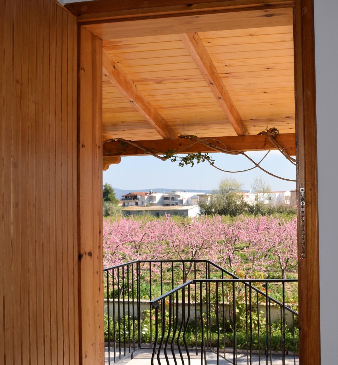 Studio Candia Exterior foto